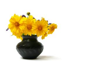 Żółte kwiaty w wazinie 
